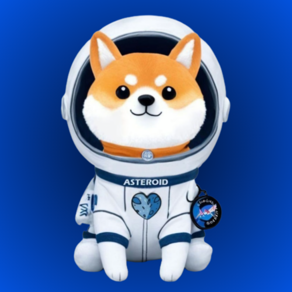 Asteroid Shiba